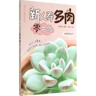 正版新书]新人养多肉零失败王意成|主编:汉竹9787553735986