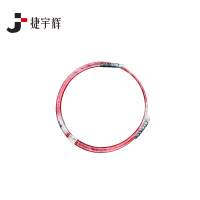 捷宇辉高压压装油管(适配SKF油泵)∅30*6m 300Mpa/根