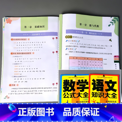 全2册-数学公式大全+语文知识大全 小学通用 [正版]小学语文知识大全数学公式英语语法作文写作技巧小学生专项训练速记手册