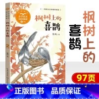 枫树上的喜鹊 [正版]小学同步阅读二年级上册下册课外书开满鲜花的小路好天气和坏天气青蛙卖泥塘太空生活趣味多小毛虫小柳树和