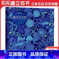 遇见自然 [正版]遇见自然视觉发现绘本 精装绘本发现诗意自然游戏探索自然 提升幼儿专注力想象力亲子互动绘本图画创造力书籍