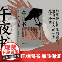 午夜书 胡性能 著 小说