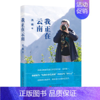 [正版]我正在云南 洪峰 中国现当代随笔 书籍