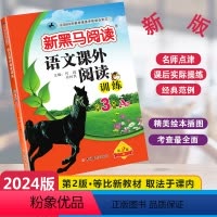 [单元检测]语文课外阅读A版 小学三年级 [正版]2024新版新黑马阅读语文课外阅读训练A版通用版小学三年级全一册3年级