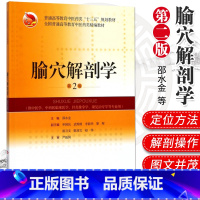 [正版]腧穴解剖学(第2版) 适用于中医药院校中医学 针灸推拿学 中西医临床医学邵水金 申国民武煜明 等主编 版次1上