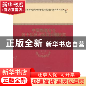 正版 中国能源安全若干法律与政策问题研究 黄进等著 经济科学出