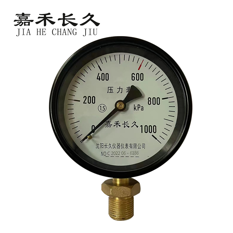 嘉禾长久/压力表/Y100 1.5级/块