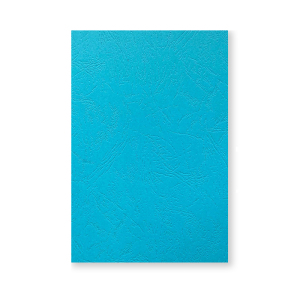 优彩嘉 彩色皮纹纸 A4 230g 湖蓝色 1507 包