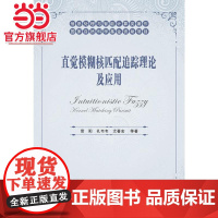 直觉模糊核匹配追踪理论及应用