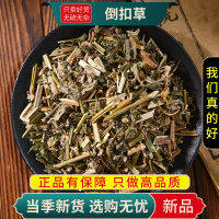 甄选倒扣草100克干货正品别名牛舌大黄倒钩牛膝头无硫9260