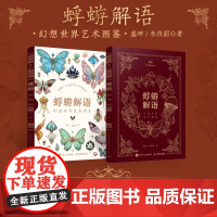蜉蝣解语 幻想世界艺术图鉴 盛妍等 著 绘画