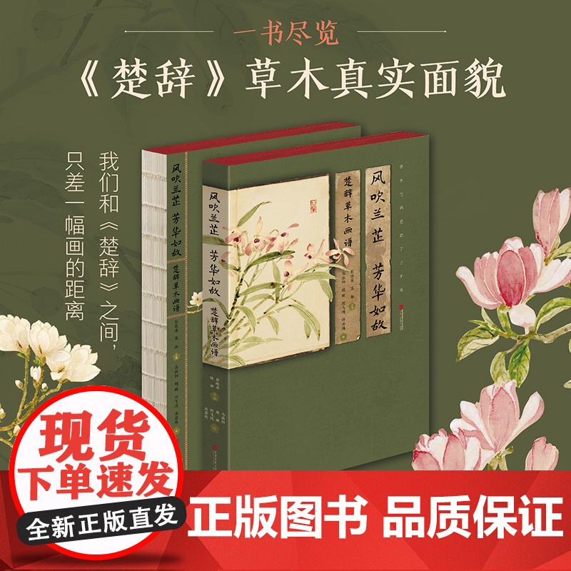 风吹兰芷 芳华如故:楚辞草木画谱 回溯中国浪漫主义文学 94幅没骨画作草木植物释文注解植物知识鉴赏文学性艺术性科普性古典