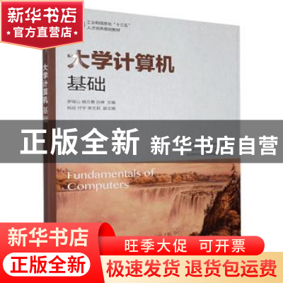 正版 大学计算机基础 罗保山,韩方勇,孙琳 人民邮电出版社 978711
