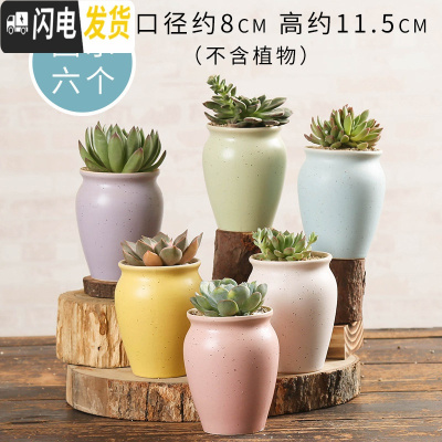 三维工匠多肉花盆陶瓷家用粗陶创意个性肉肉植物盆器大号口径 马卡龙老桩(6个) 小花盆容器