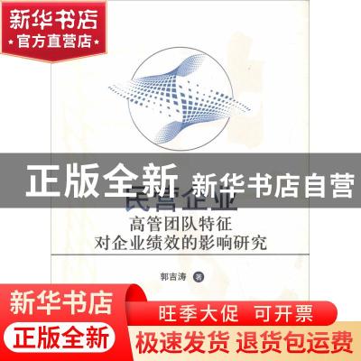 正版 民营企业高管团队特征对企业绩效的影响研究 郭吉涛著 经济