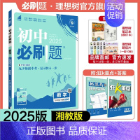 数学 XJ 九年级下 [正版]理想树2025版初中必刷题九年级下册数学湘教版XJ初三必刷题同步练习中考复习资料模拟题辅导