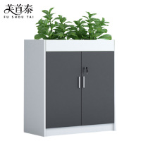 芙首泰矮柜两门800*300*1000mm台