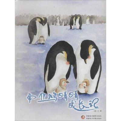 正版新书]帝企鹅晴晴成长记心晴9787546981901