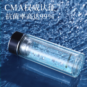 富光FUGUANG 抗菌玻璃杯双层高硼硅泡茶杯子 茶水分离杯车载水杯 男女士 400ml黑色