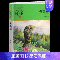 保姆蟒 [正版]侏罗纪龙鸟升级版沈石溪动物小说大王品藏书系小学三四五六年级课外阅读书籍动物小说大王品藏书系生课外阅读适用