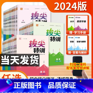 [人教版]数学 七年级上 [正版]2024初中拔尖特训七八九年级上册语文数学英语物理化学人教北师大华师沪科 初一二初三7