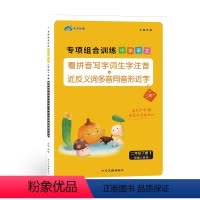 下册 [正版]二年级下册看拼音写词语近义词反义词多音同音形近字小学语文同步训练专项练习册人教版2年级下册练习配套人教版词