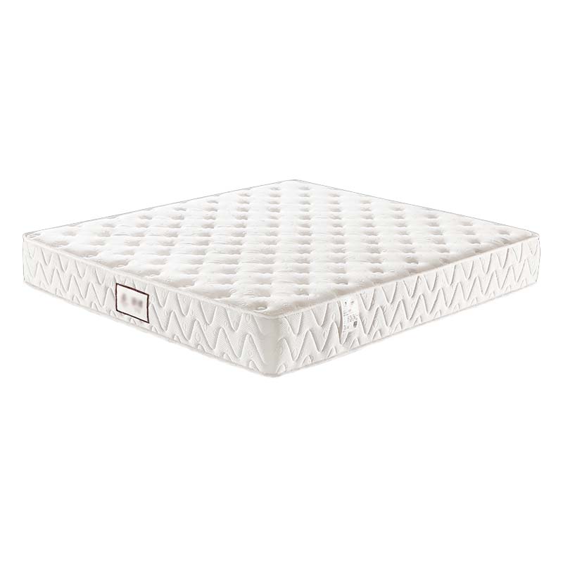 DXBG压缩卷包席梦思床垫独立弹簧天然乳胶超软折叠[硬质绵+独立布袋簧]B款/舒适适中硬厚约22cm