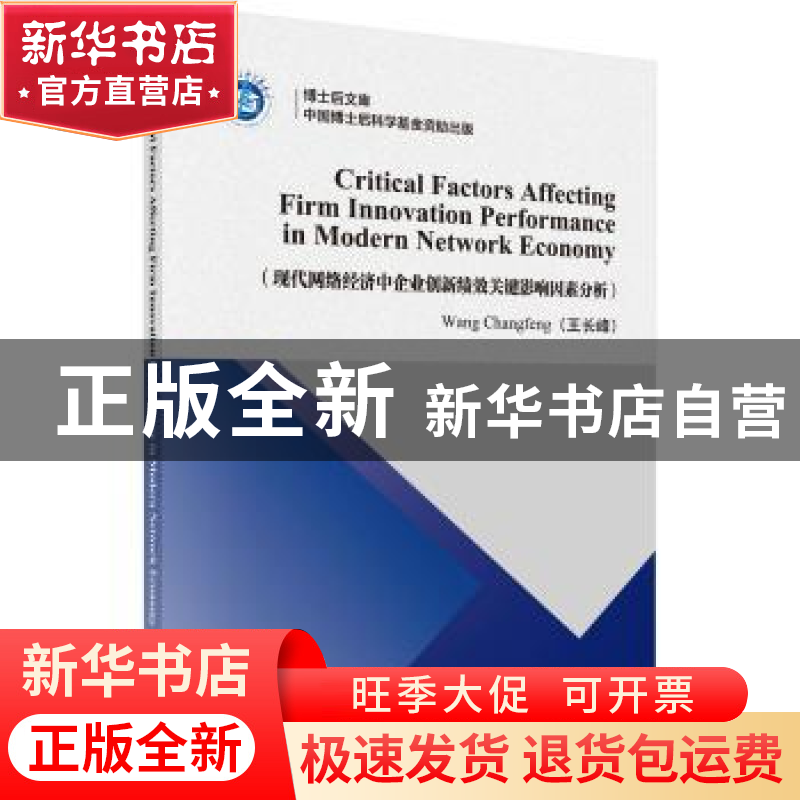 正版 现代网络经济中企业创新绩效关键影响因素分析 王长峰著 科