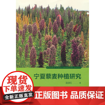 宁夏藜麦种植研究