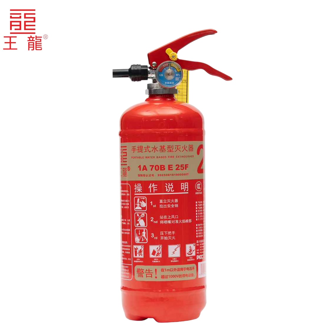 王龙 手提式水基型灭火器 2升 具