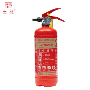 王龙 手提式水基型灭火器 2升 具