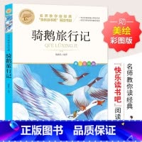 骑鹅旅行记 [正版]汤姆索亚历险记 彩图 经典名著青少年小学生儿童二三四五六年级上下册必读课外阅读物故事书籍快乐读书吧名