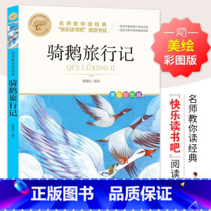 骑鹅旅行记 [正版]汤姆索亚历险记 彩图 经典名著青少年小学生儿童二三四五六年级上下册必读课外阅读物故事书籍快乐读书吧名