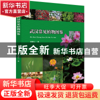 正版 武汉常见植物图鉴 杨春松 华中科技大学出版社 978756808856