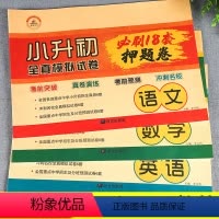 小升初押题卷 语数英 全3册 小学升初中 [正版]2023小升初必刷题人教版语文数学英语总复习资料书专项训练习册基础知识