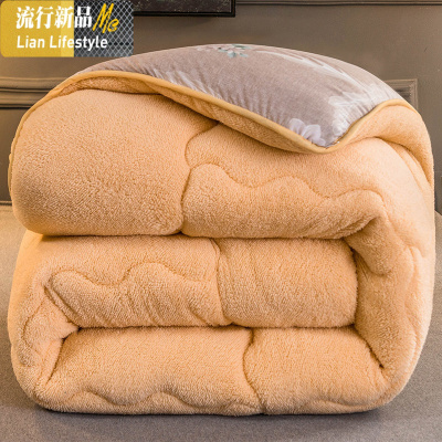 冬季羊羔绒加厚保暖超厚被子冬被10斤棉被芯单人学生宿舍春秋被褥 三维工匠