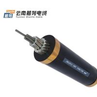 前列Qianlie 架空绝缘电缆 JKLGYJ-1KV-240/30mm² 米