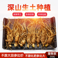 [新鲜人参]权禄长白山带土鲜人参250g(约10-15枝)可煲汤泡酒精选吉林长白山人参泡酒药材