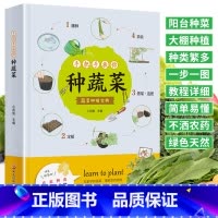 [正版]手把手教你种蔬菜 种菜栽培实用手册蔬菜种植技术私家菜园宝典书