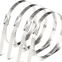 霖冠鑫不锈钢扎带5*550mm/根