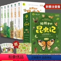 给孩子的昆虫记[全6册] [正版]给孩子的昆虫记全套6册小学生版彩绘注音版儿童版绘本3-6岁孩子青少年孩子读的懂得昆虫记