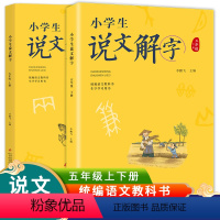 [正版]小学生说文解字五年级上下2册彩绘版语文教科书生字学习用书小学生儿童识字认字生字幼小衔接教学教师用书