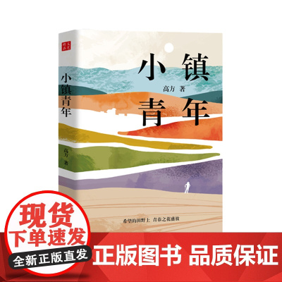 小镇青年 记录从乡村走出去的青年人回到乡村创业的故事