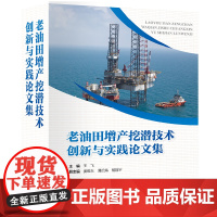 老油田增产挖潜技术创新与实践论文集