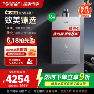 AO史密斯小体积16升精钢燃气热水器[小精钢EC5]静音 持久恒温 天然气 JSQ31-EC5
