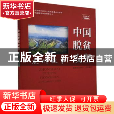 正版 中国脱贫攻坚 龙州故事 国务院扶贫办 研究出版社 9787519