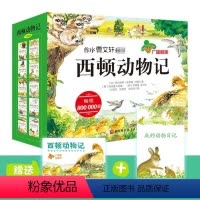 西顿动物记注音版(全10册赠朗读光盘) [正版]西顿动物记故事 全10册注音版绘本7-10-12岁小学生一二三年级课外阅