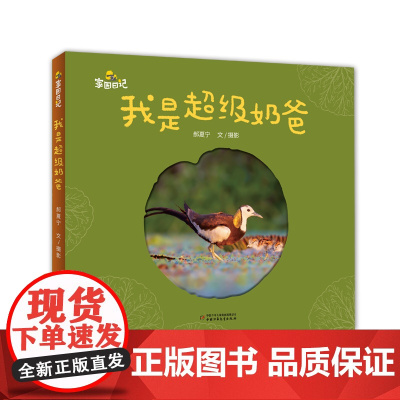 家园日记——我是超级奶爸