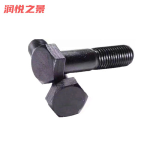 润悦之景 六角螺栓 M16*70 个