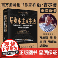 财之道丛书 后资本主义生活 财富的意义经济的未来与货币的时间理论乔治·吉尔德著 万维钢未来经济发展新方向信息论经济